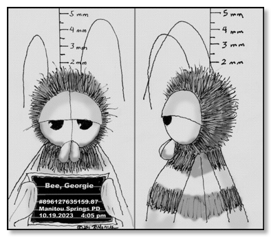 GeorgieMugShot-2023