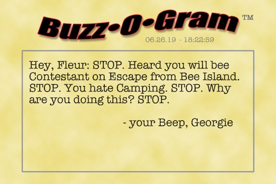 BuzzOGram_Georgie