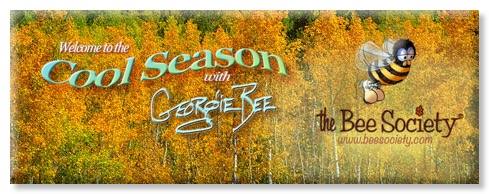 GeorgieFBCover_CoolSeason