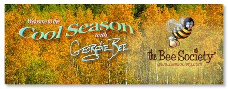 beesocfbcover_coolseason